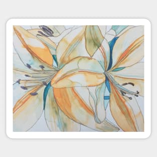 Pale orange lilies watercolour painting Sticker